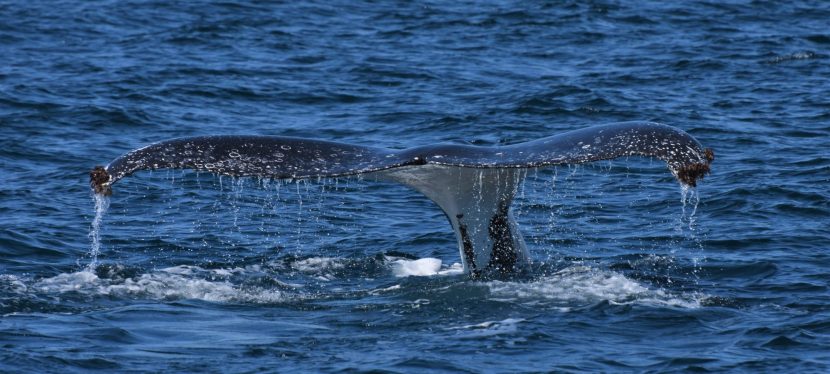 Welcome to our new&nbsp;site!